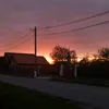 bia_pusca