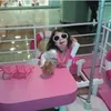 gabs_veyr