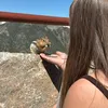 jess26.6