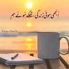 aqibiqbal567