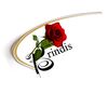 Brindis