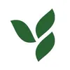 herba_l_aura_