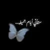 hhan1998