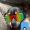 bentleyhamilton97