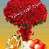 user7795376909012