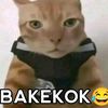 zailanihh_22
