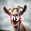 4hy5fn