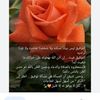 user9716880082674