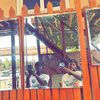 richdollarsign1