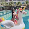 abby.baobao