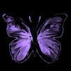 _buttefly_1948_