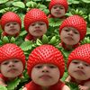 lgiv7