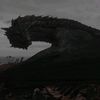 dignityxx8