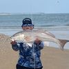 bobert_51