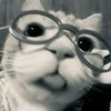 your.luv._