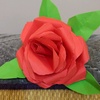 rose.art.12345