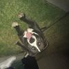 evilcca