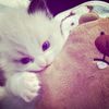fluffyzxrara