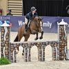 eq_horses_jumpers