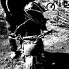 tiburon._28