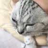 kexingxiaqo