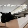 articninja272