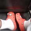 nii.abbey1