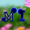 mirfanhaider34