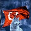 emiranalay01
