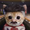 user.cet
