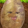 ian.nnbt