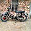 jihan.liwa