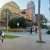 tim_lp1