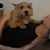 waithusband