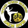 bvb_ayri