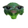 knpja