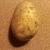 potato3239