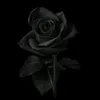 narm_89