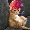 itatchiuchia1