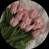 user3317481231804