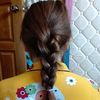 thae.thae50057