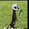 taexo123