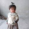 abdulmagiead