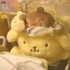 _purin_pom