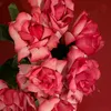 dilbar_661