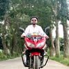 dippa509