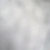 no.user.name355