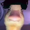 dawudvsduml