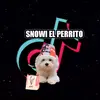 snowielperrito