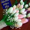 user9057098603920